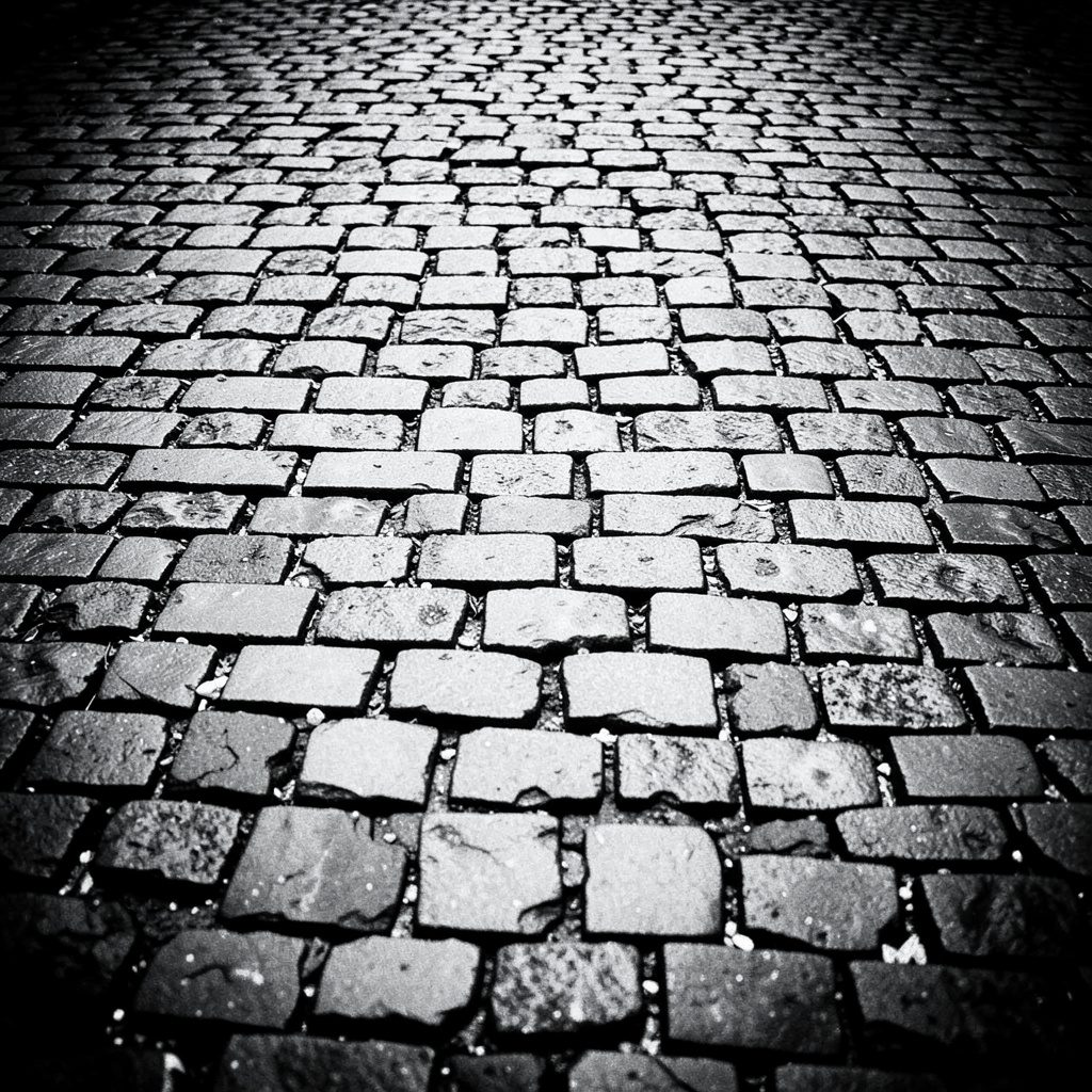 A dark duotone of wet cobblestones glistening under low light, deep charcoal and muted bronze tones evoking a Victorian London street at dusk.